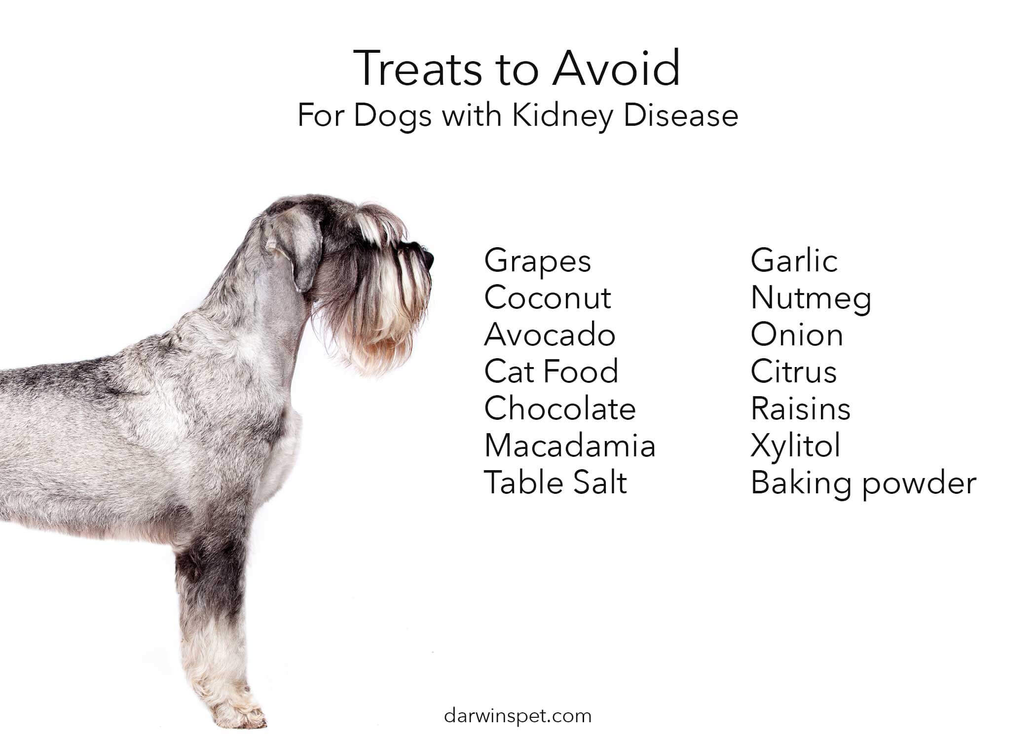 Dog Food for Kidney Disease: How to Choose and Provide the Best Diet, Darwin's Natural Pet Products