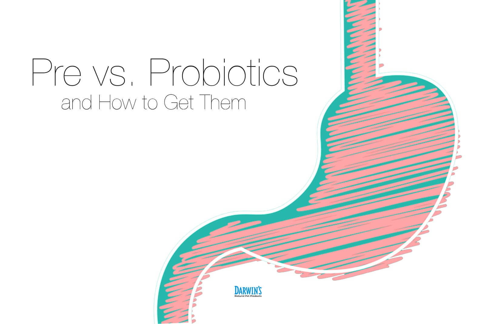 Probiotics & Prebiotics for Dogs | Darwin's Natural Pet Products